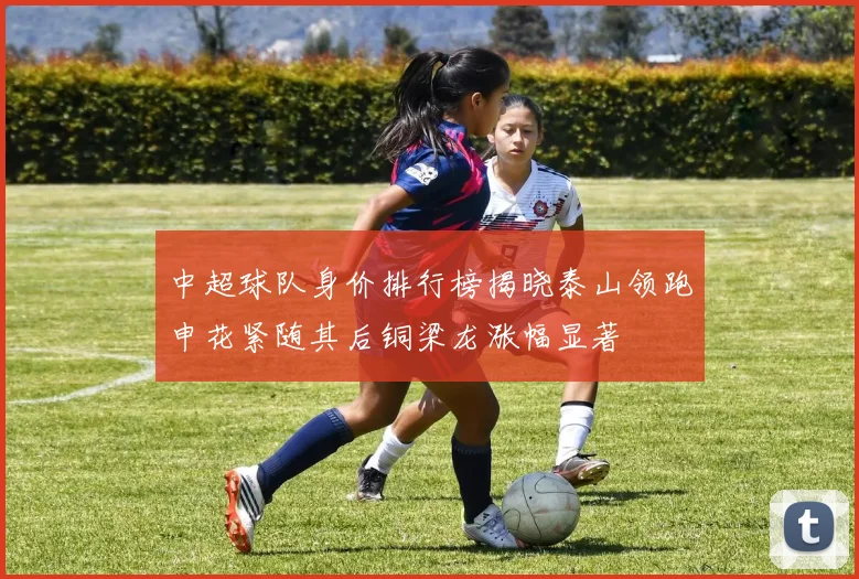 中超球队身价排行榜揭晓泰山领跑申花紧随其后铜梁龙涨幅显著