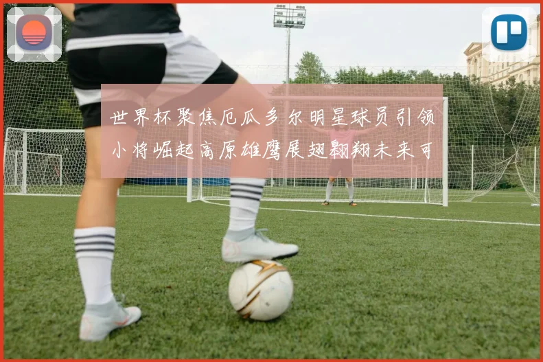 世界杯聚焦厄瓜多尔明星球员引领小将崛起高原雄鹰展翅翱翔未来可期